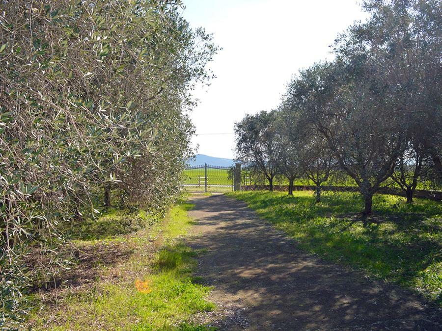 Agriturismo Olivomare Πιομπίνο Εξωτερικό φωτογραφία