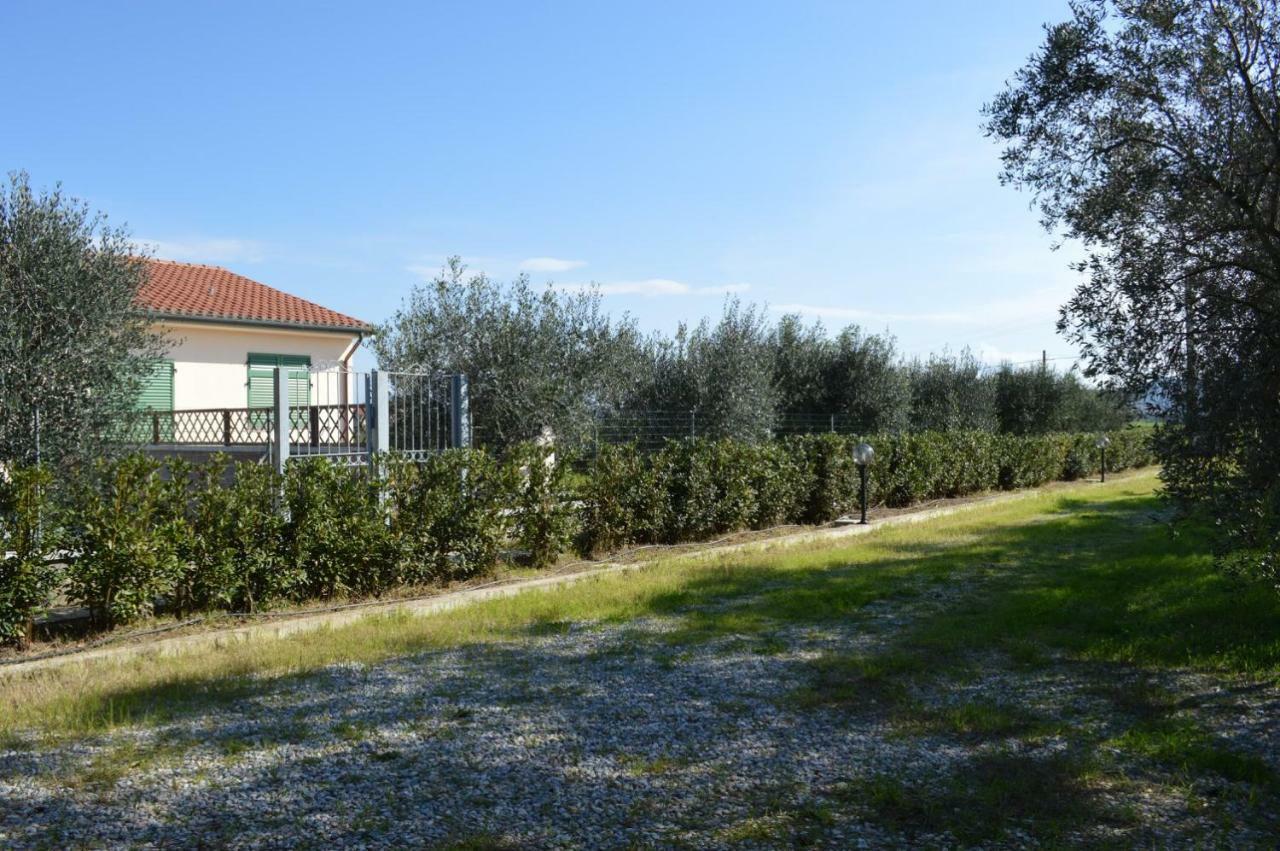 Agriturismo Olivomare Πιομπίνο Εξωτερικό φωτογραφία